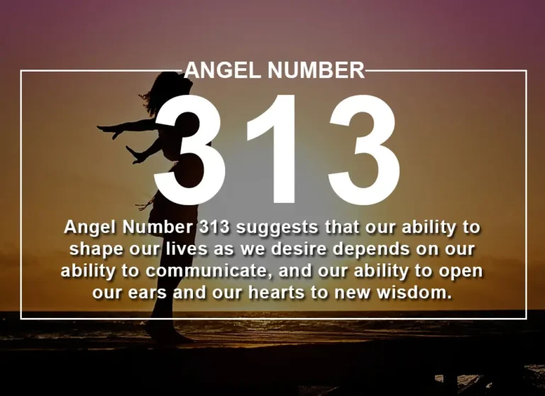 313 Angel Number